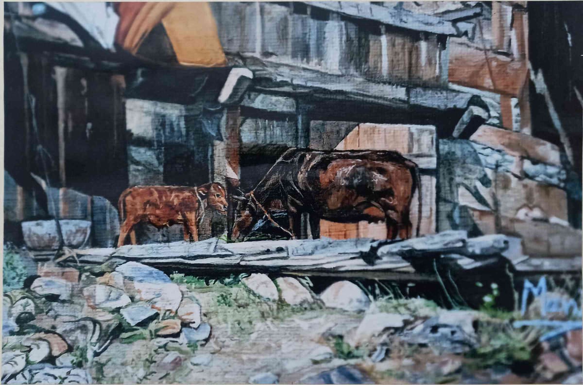 Contact Patrika Aranyak Editorial Office